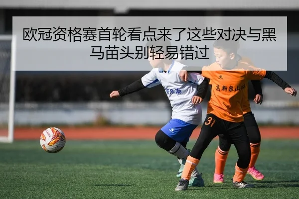 img_1783320746848_273_1_449.jpg